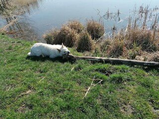 Appartamento Kröpelin Ambiente 30