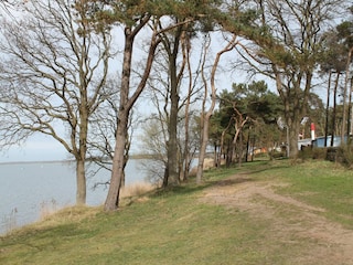 Bungaló Pepelow Entorno 32