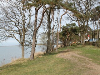 Bungalow Pepelow Omgeving 33