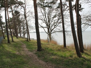 Bungalow Pepelow Omgeving 31