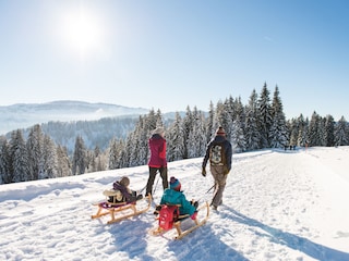 Schlittenfahren Hörnerbahn