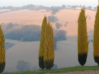 Appartamento per vacanze Ostra Registrazione all'aperto 21