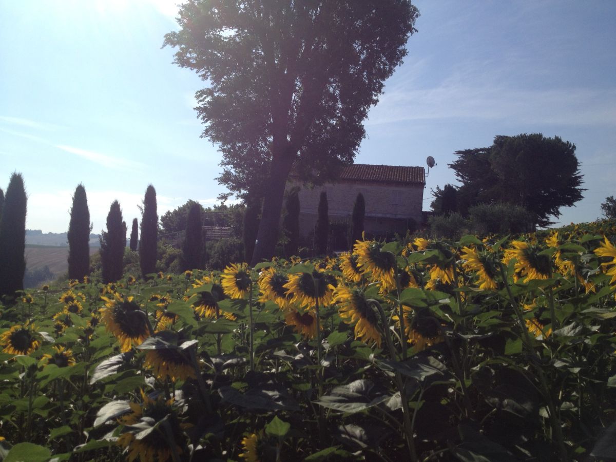 Ferienhaus Tenuta Paradiso