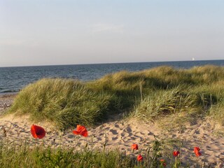 Apartamento de vacaciones Kühlungsborn-West  40