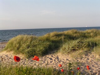 Magnificent sand dunes in the south of Kühlungsborn