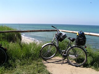 Great bike tours on the beach (2 bikes are included)