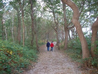 The big city forest starts right behind your apartment!