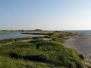 Natur pur rings um Kühlungsborn z.B im Gebiet Am Rieden