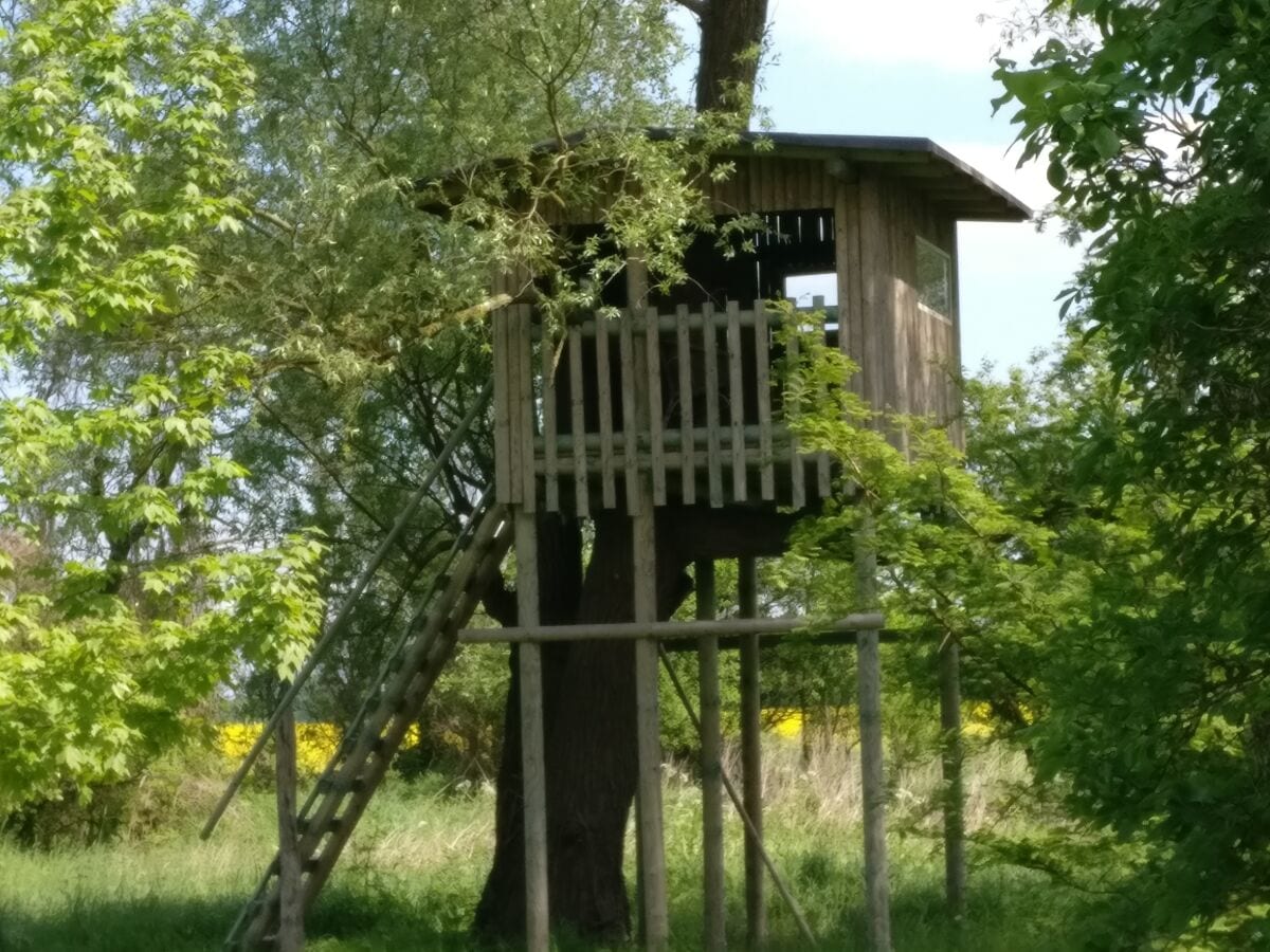 Baumhaus im Garten