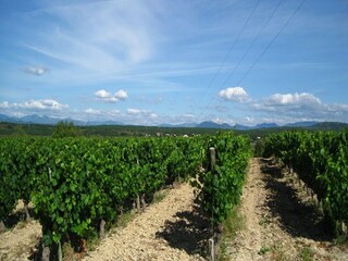 Casa vacanze Villeneuve-de-Berg Ambiente 37
