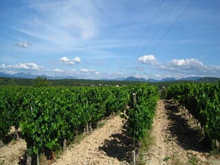 Casa vacanze Villeneuve-de-Berg Ambiente 37