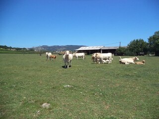 Casa vacanze Villeneuve-de-Berg Ambiente 38