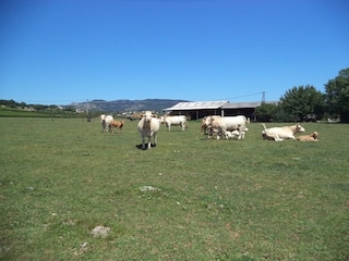 Maison de vacances Villeneuve-de-Berg Environnement 37