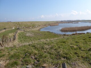 Maison de vacances Kamperland Environnement 25