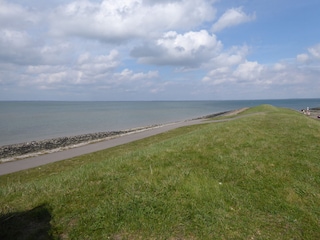 Radweg direkt am Meer