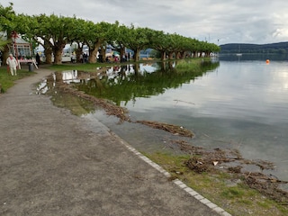 Hoher Bodenseepegel am Seezugang "Mole"