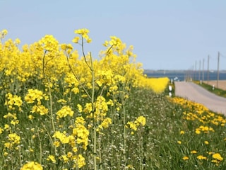 Apartment Damshagen Umgebung 26