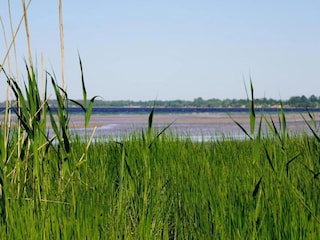 Apartment Damshagen Umgebung 23