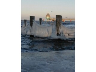 Winterruhe