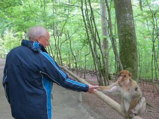 Appartamento per vacanze Oberstaufen  40