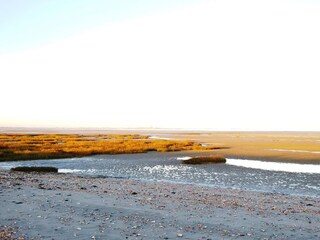 Beach at low tide