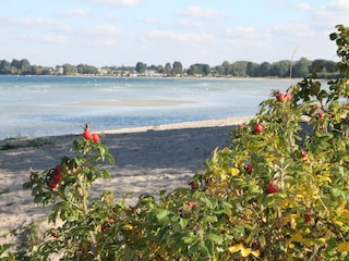 Apartment Pepelow Environment 27