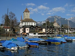 Vakantiehuis Wilderswil Omgeving 23