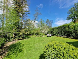 Blick in den Garten von der Terrasse aus