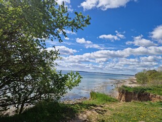 Steilküste bei Sierksdorf auch für Angler und Hunde
