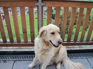 Fattoria Innichen Ambiente 15