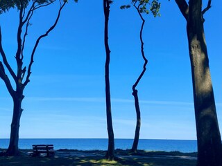 Oase mit Meerblick