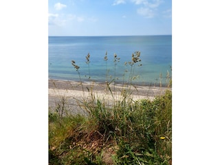 Weitblick