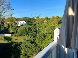 Blick vom Balkon