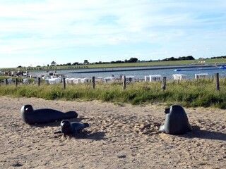 Sandstrand