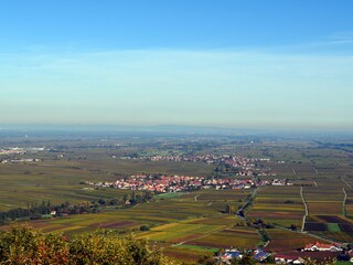 Appartement de vacances Silz (Pfalz) Environnement 18