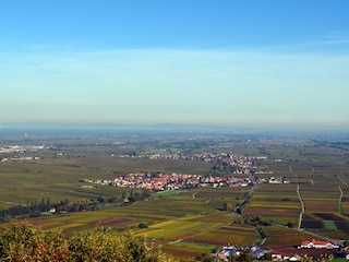 Blick auf die Rheinebene