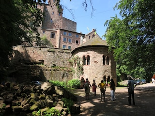 Appartement de vacances Silz (Pfalz) Environnement 19