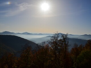 Vakantieappartement Silz (Pfalz) Omgeving 16