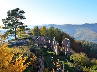 Appartamento per vacanze Silz (Pfalz) Ambiente 17