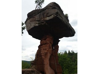 Vakantieappartement Silz (Pfalz) Omgeving 22