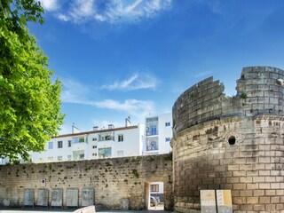 Vakantiehuis Arles Omgeving 35