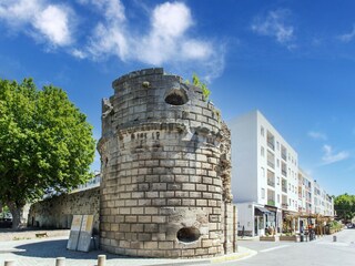 Maison de vacances Arles Environnement 34