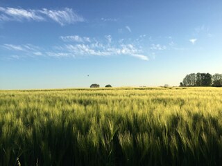 Vakantieappartement Kappeln (Stadt) Omgeving 18