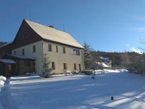 Ferienwohnung 1 im Ferienhaus Am Waldweg - Oberes Erzgebirge - image1