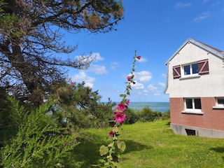 Casa per le vacanze Veulettes-sur-Mer Registrazione all'aperto 2