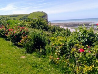 Casa per le vacanze Veulettes-sur-Mer Registrazione all'aperto 4