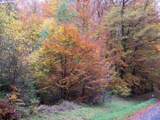 Apartamento Pantenburg Entorno 27