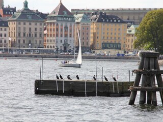 Vakantiehuis Nora Omgeving 30