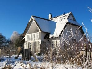 Ferienhaus Schilfhaus Darss - Born - image1