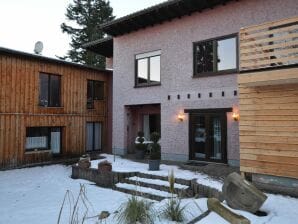 Appartement confortable dans le comté de Manderscheid, TV - Pantenbourg - image1